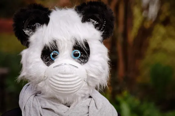 Casino Mars Bet Soporte